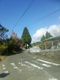 1545452536240