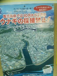 1545462633840