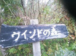 1545542712567