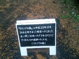 1545542719716