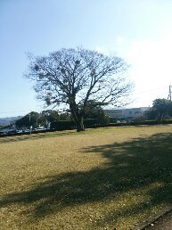 1546748374442