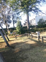 1546748381060