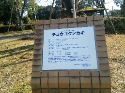 1546748781050