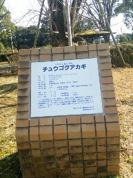 1546748788678