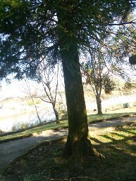 1546751088945