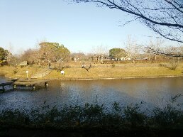 1546751127829