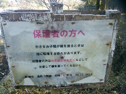 1546751129033