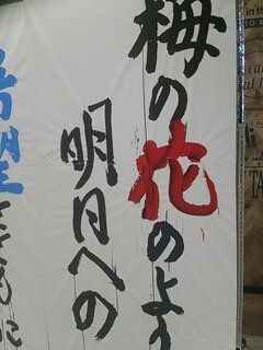 1556873557348