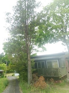 1557463287400