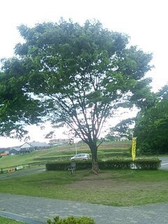 1558077657043