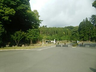 1558080010456