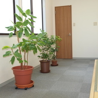 P8181343_コピー_コピー_コピー