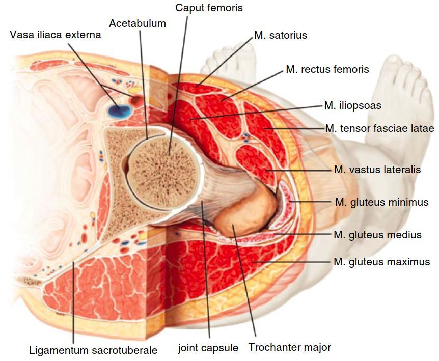 deeptissue_2