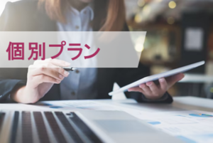 個別プラン