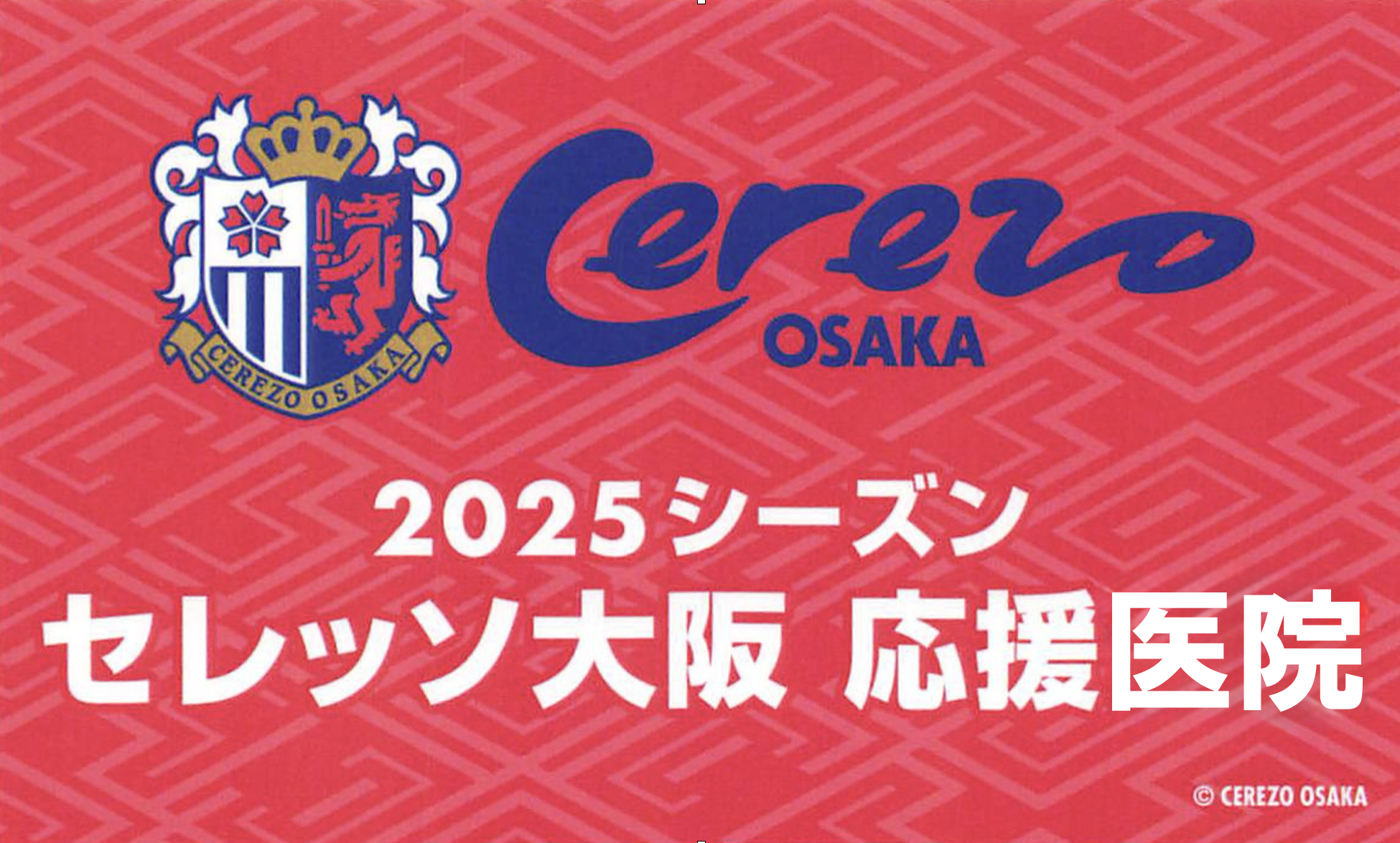 スクリーンショット 2025-02-15 11.05.05