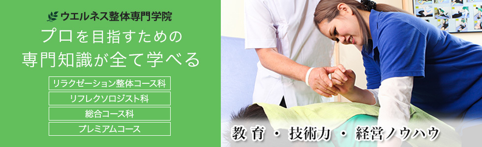 プロを目指すための専門知識が全て学べる