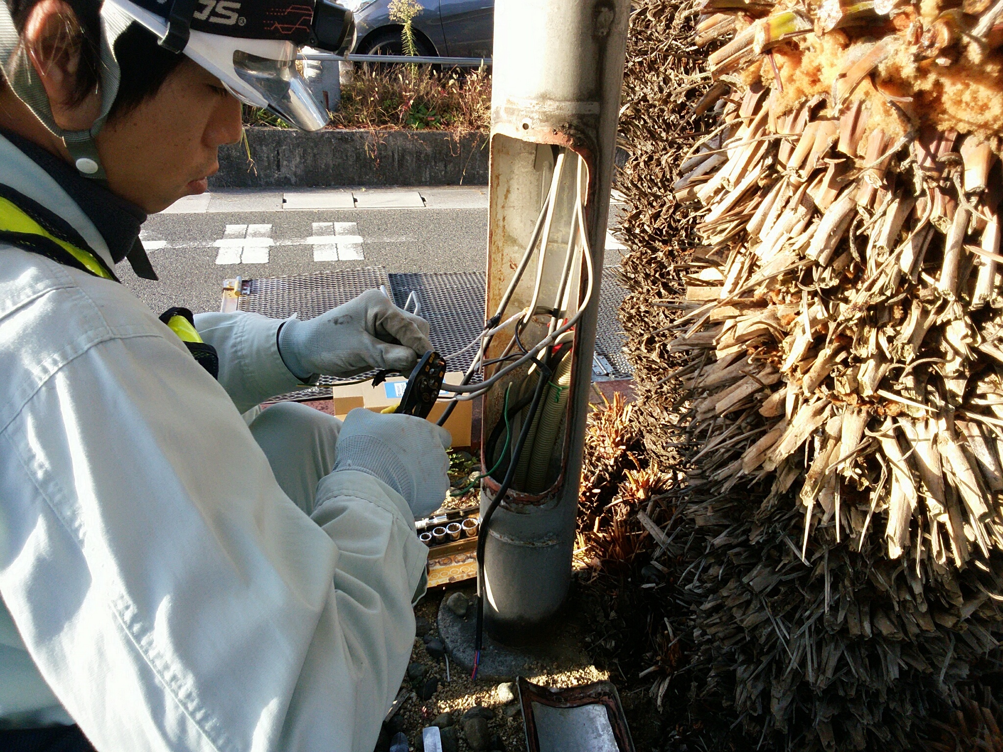 ■10_20181129-081744-044