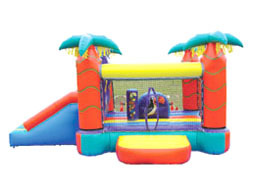 屋内ミニエア遊具ミニジャングルスライダー