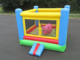 ミニ屋内遊具スモールピッグ(ワ)