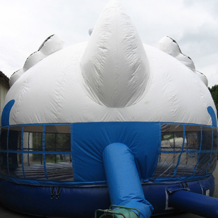 ふわふわドーム鳥