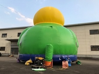 ふわふわドームオウム