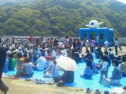 ふわふわアザラシバウンス