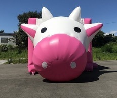 ふわふわトランポリン牛