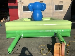 エアボールプール象