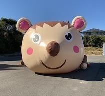ふわふわハリネズミ