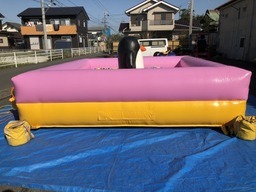 エアボールプールペンギン3