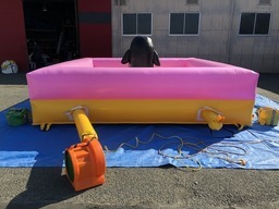 ふわふわボールプールペンギン4