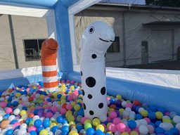 ボールプールふわふわチンアナゴワ