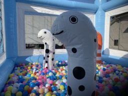 ふわふわボールプールチンアナゴ3