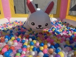 ボールプールウサギ3