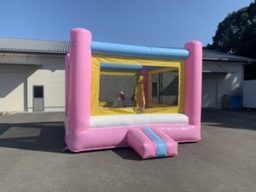 ボールポールウサギワ