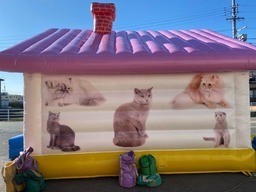 ふわふわネコカフェ