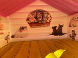 エア遊具ネコカフェ