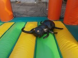 カブト&クワガタランド4