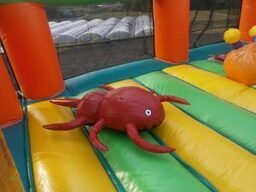 カブト&クワガタランド5