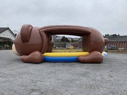 ビッグヘッドベア・ボール付き3