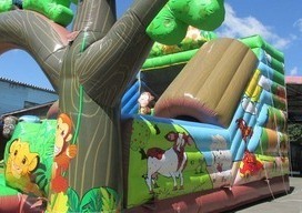 サファリスライダー6