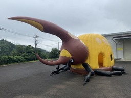 ヘラクレスドーム1