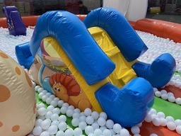 恐竜ボールドーム3