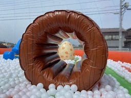 恐竜ボールドーム4