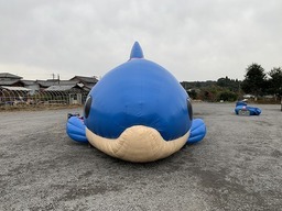 おさかなバウンス(BP)4