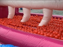 おさかなバウンス(BP)5