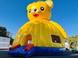 タイガードーム