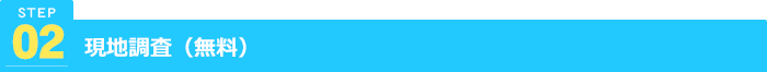 現地調査