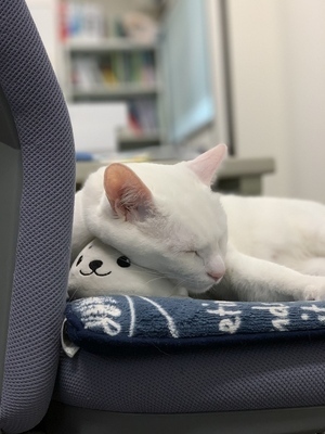 IMG_14260000_コピー_コピー_コピー