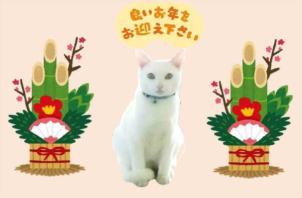 Book222_コピー_コピー